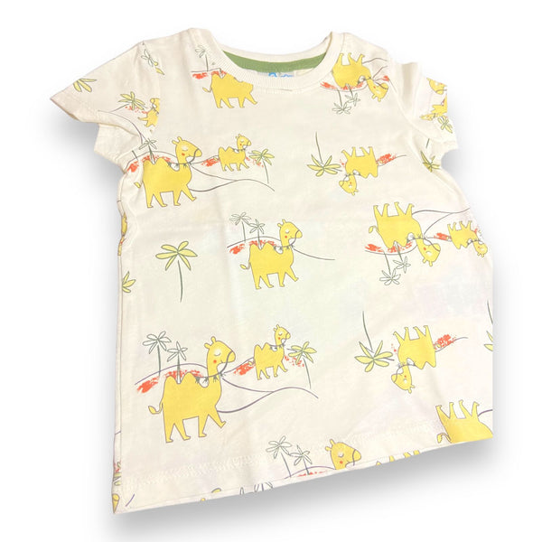 Mr Camel  T - Shirt